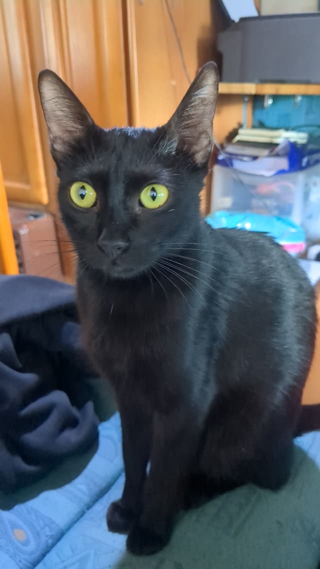 Nina